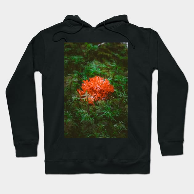 Pacific Northwest Coral Fungi Hoodie by Robtography
